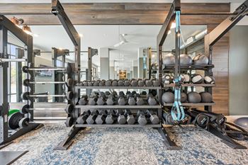 A gym with weights and balls on a rack